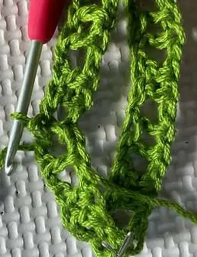 Fruit Snack Coozie Pack Pattern step 3 - details and accessories