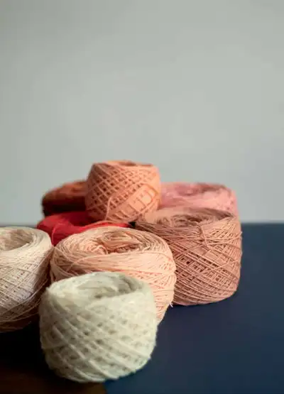 Animal Friends of Pica Pau Amigurumi Pattern step 2 - assembly progress