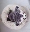 My little Husky dog Amigurumi Pattern step 2 - assembly progress