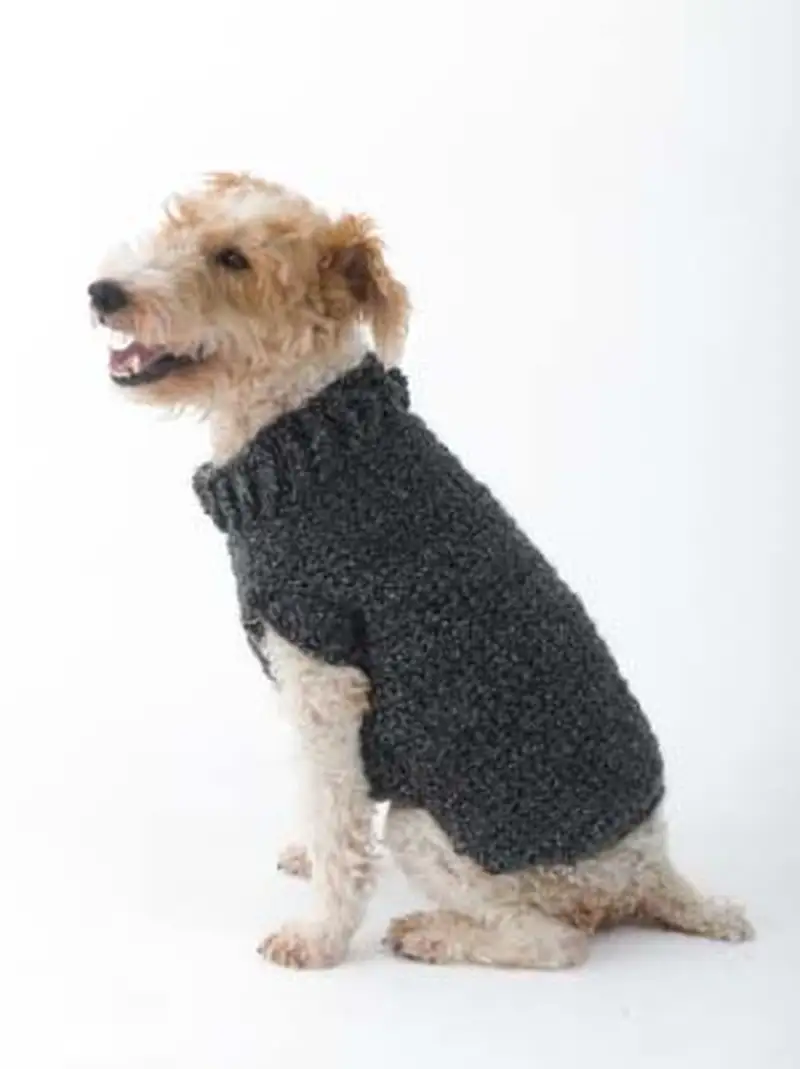 Free Beginner Friendly crochet pattern: The Poet Dog Sweater Pattern - Easy to follow tutorial