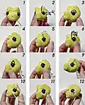 Tyrannosaurus Oliver Amigurumi Pattern step 3 - details and accessories