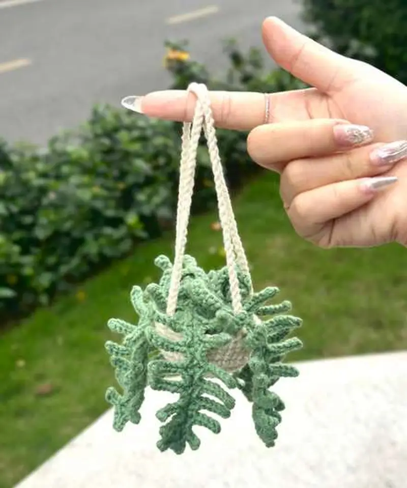 Free crochet pattern: Fern Plant Car Pattern - Intermediate level tutorial