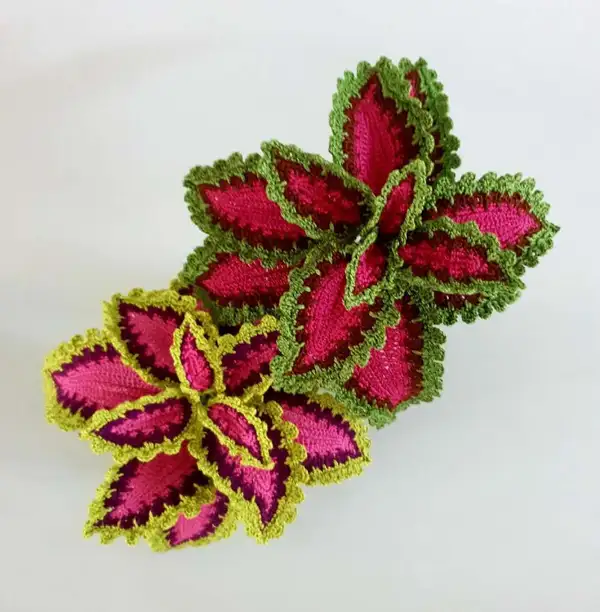 Watermelon Coleus Pattern