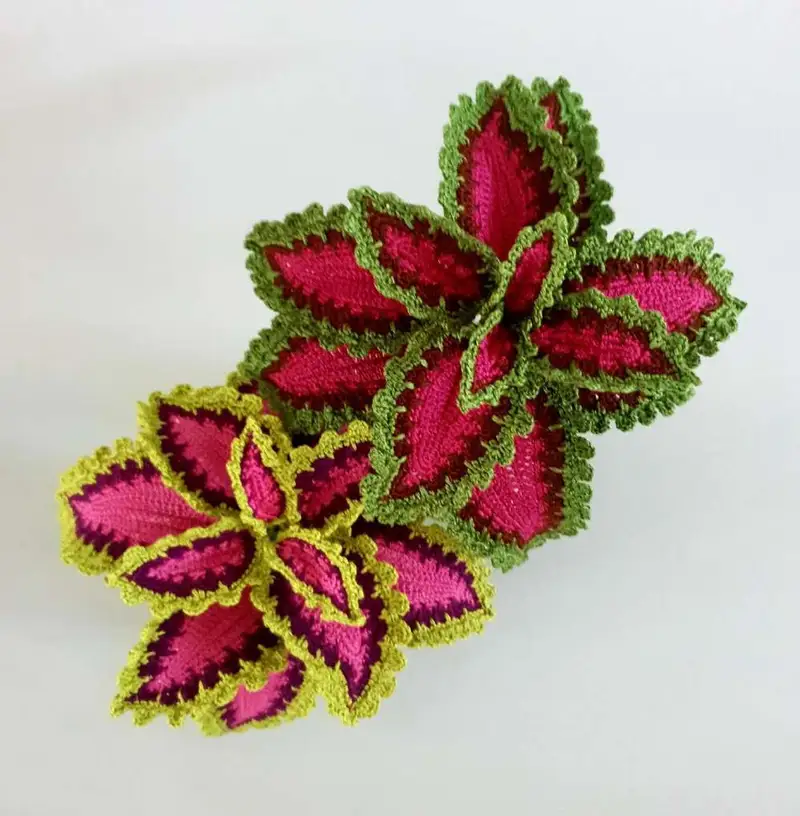 Free Intermediate crochet pattern: Watermelon Coleus Pattern - Easy to follow tutorial