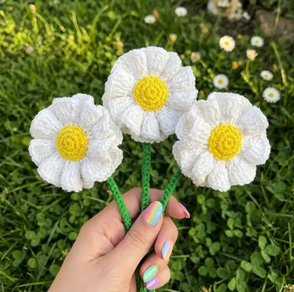 Daisy and Carnation Flower Crochet Pattern
