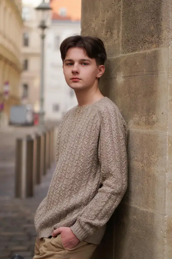 Theory of braids men's sweater Pattern