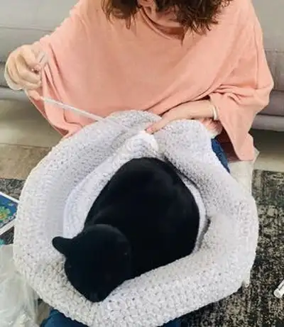 Easy Doughnut-Shaped Pet Bed Pattern step 2 - assembly progress