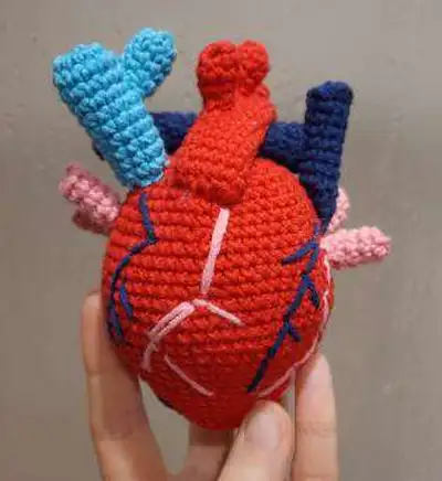 Anatomical Heart Amigurumi Pattern step 1 - construction progress