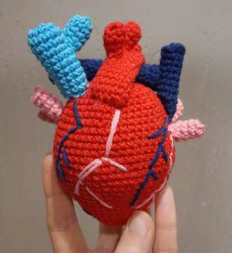 Free Intermediate crochet pattern: Anatomical Heart Amigurumi Pattern - Easy to follow tutorial
