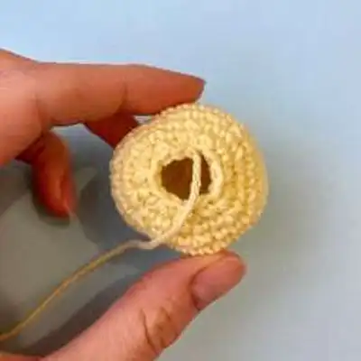Bunny in carrot Amigurumi Pattern step 3 - details and accessories