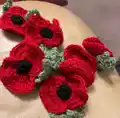 British Legion Poppy Appeal Poppies Pattern step 1 - construction progress