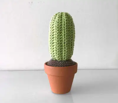 Desert Crochet Cactus Amigurumi Pattern step 3 - details and accessories