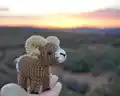 Bobby the Bighorn Sheep Amigurumi Pattern step 1 - construction progress