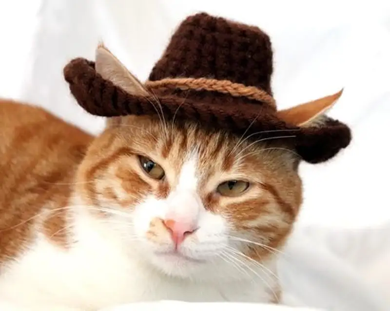 Free Intermediate crochet pattern: Cowboy Cat Hat Pattern - Easy to follow tutorial