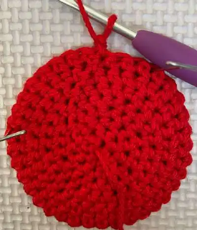 Fruit Snack Coozie Pack Pattern step 2 - assembly progress