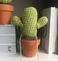 Desert Crochet Cactus Amigurumi Pattern step 2 - assembly progress
