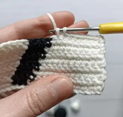 Black Cat Bag Crochet Pattern step 3 - details and accessories