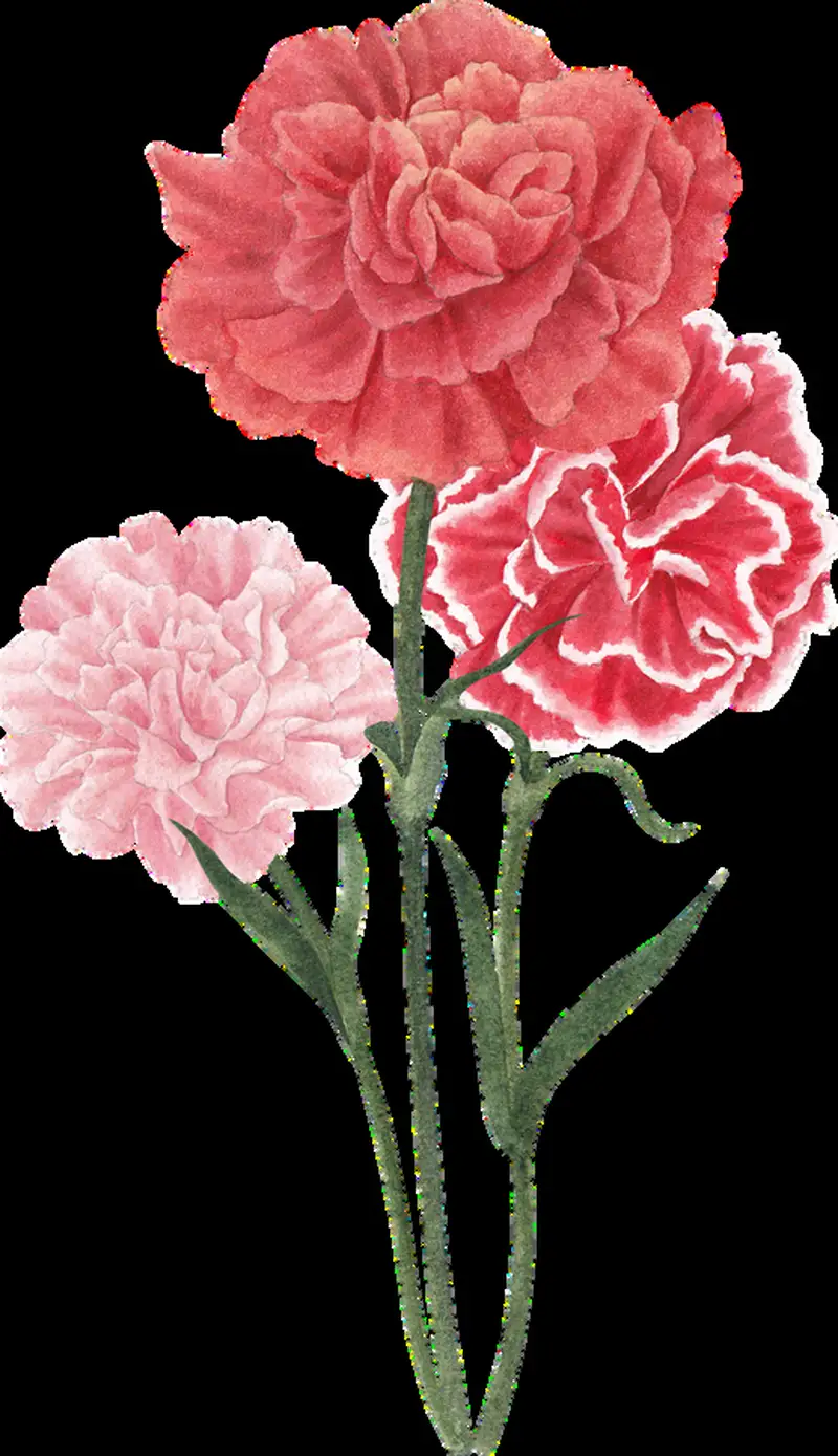 Free Intermediate crochet pattern: Crochet Flower Patterns Book Pattern - Easy to follow tutorial