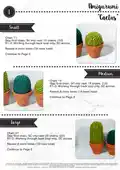 Cactus Amigurumi Pattern step 3 - details and accessories