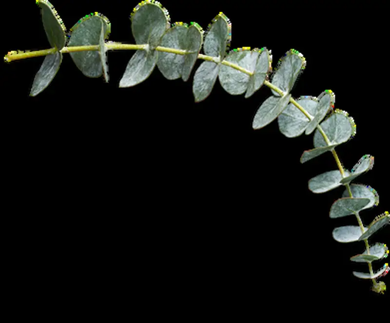 Free Beginner Friendly crochet pattern: Digital Planner Download Pattern - Easy to follow tutorial