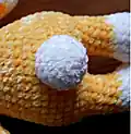 Adorable Easter Bunny Amigurumi Pattern step 4 - final assembly and finishing