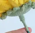 Crochet Sunflower Pattern step 3 - details and accessories