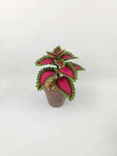 Watermelon Coleus Pattern step 2 - assembly progress