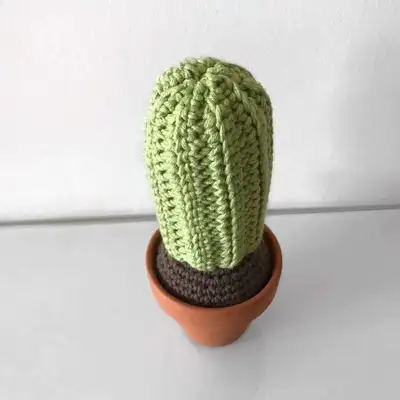 Desert Crochet Cactus Amigurumi Pattern step 4 - final assembly and finishing
